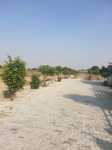 Residential Plot