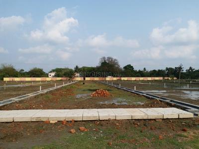 Residential Plot
