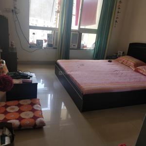 शेयरिंग