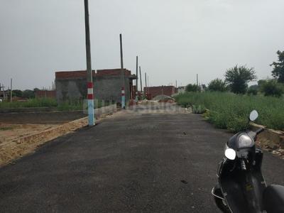 Gallery Cover Image of Sq.ft Residential Plot for buy in Tilpata Karanwas for 1120000