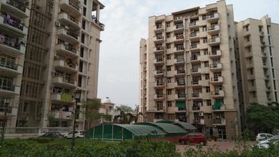 3 BHK Apartment