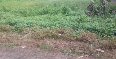 Gallery Cover Image of Sq.ft Residential Plot for buy in Nellikunnu for 31200000