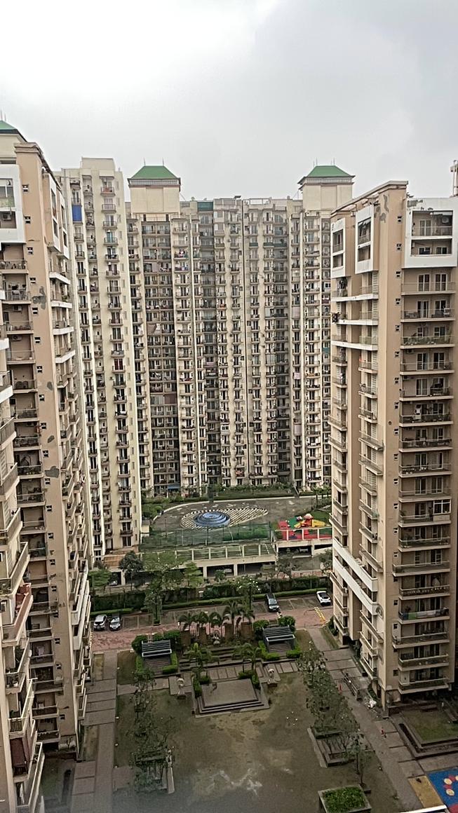 AIG Aigin Royal - Image 25