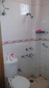 Bathroom Image of Girls PG in Sector 17