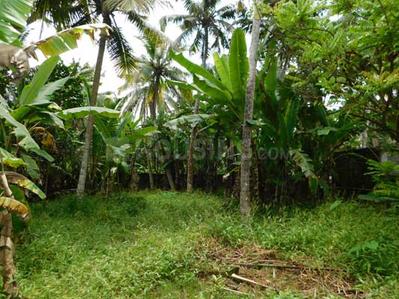 Gallery Cover Image of Sq.ft Residential Plot for buy in Pappanamcode for 5500000