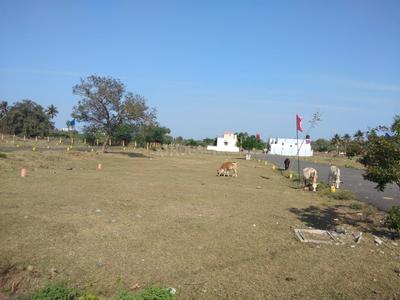 Residential Plot