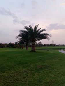 Residential Plot
