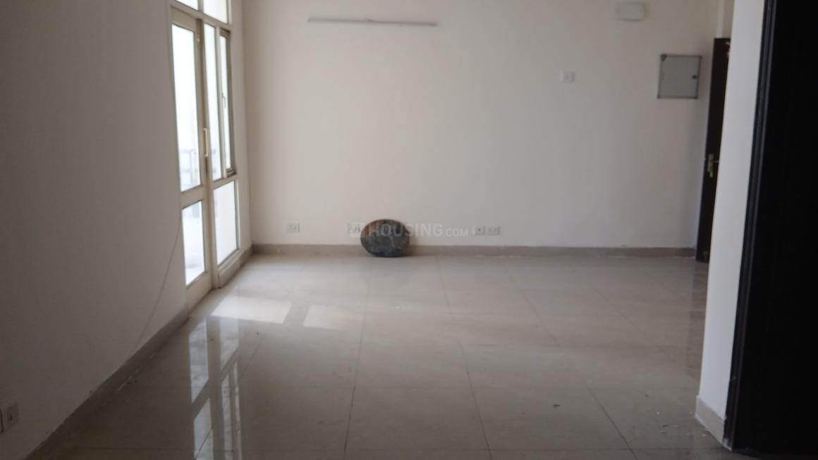 Today Kings Park - Image 6