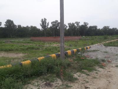 Gallery Cover Image of Sq.ft Residential Plot for buy in Sodala for 14280000