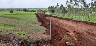 Gallery Cover Image of Sq.ft Residential Plot for buy in Patancheru for 900000