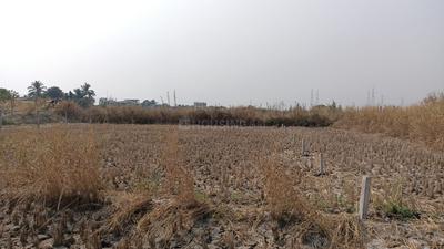 1089 Sq.ft Residential Plot for Sale in Uran, Navi Mumbai