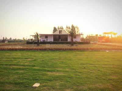 Gallery Cover Image of Sq.ft Residential Plot for buy in Sector 151 for 4500000
