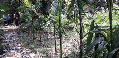 3024 Sq.ft Residential Plot for Sale in Dum Dum Cantonment, Kolkata