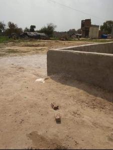 748 Sq.ft Residential Plot for Sale in Ballabhgarh, Faridabad