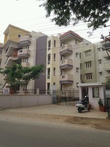 3 BHK Apartment