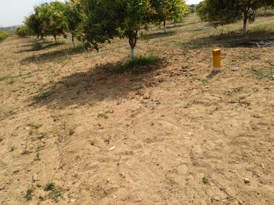 Residential Plot