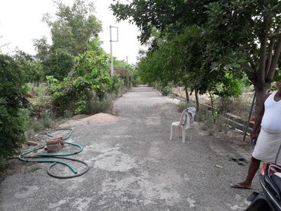 Gallery Cover Image of Sq.ft Residential Plot for buy in Matiyala for 1200000