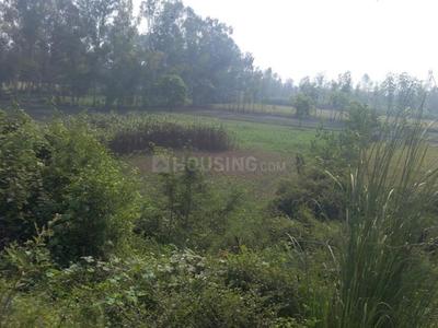 Gallery Cover Image of Sq.ft Residential Plot for buy in Sector 23 Dwarka for 43000000