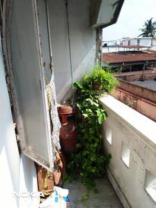 Living Room Image of PG 4747363 Bijoygarh in Bijoygarh