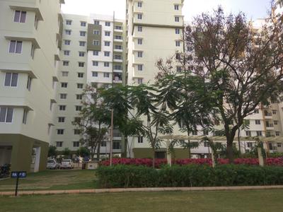 3 BHK Apartment