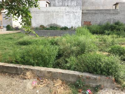 Residential Plot