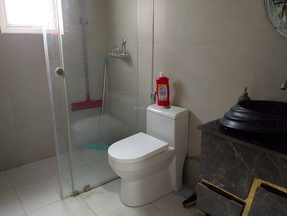 ACE Divino - Image 9