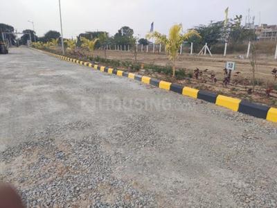 Residential Plot