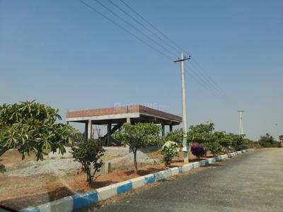 Residential Plot