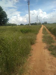 Gallery Cover Image of Sq.ft Residential Plot for buy in Lalgadi Malakpet for 1000000