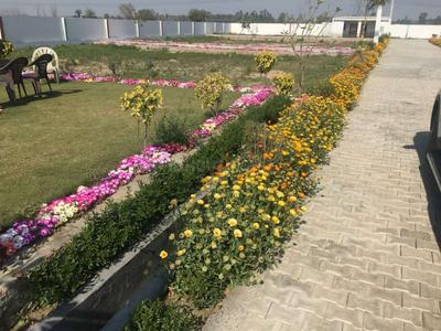 Gallery Cover Image of Sq.ft Residential Plot for buy in Dasna for 600000