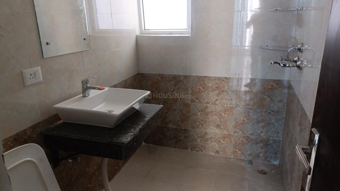 Apex Alphabet - Image 9