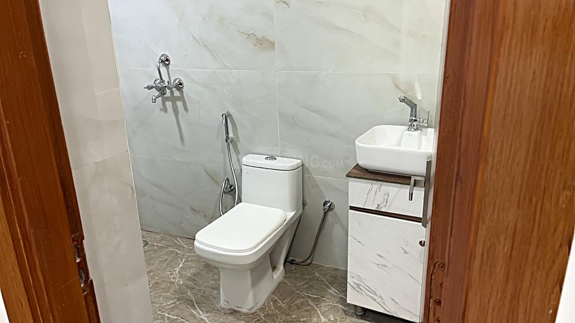 Town White Orchid - Image 7