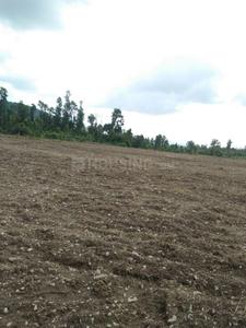Gallery Cover Image of Sq.ft Residential Plot for buy in Chukkuwala for 450000