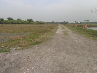 Gallery Cover Image of Sq.ft Residential Plot for buy in Baruipur for 495001