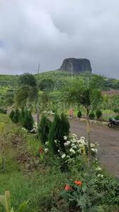 Residential Plot