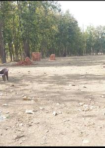 Residential Plot