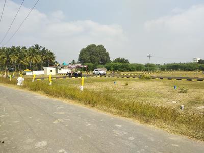 Residential Plot