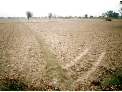 Residential Plot