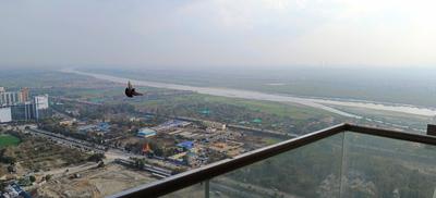 3 BHK फ़्लैट