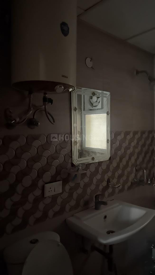 Exotica Dreamville - Image 12