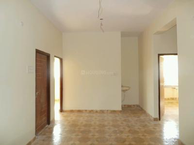 3 BHK Apartment