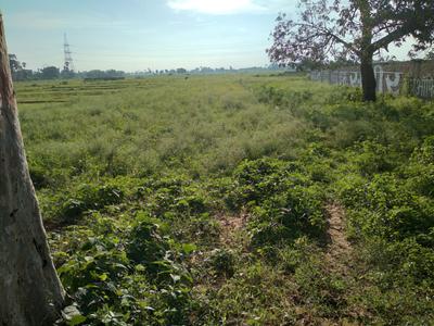 1200 Sq.ft Residential Plot for Sale in Indrapuri, Patna