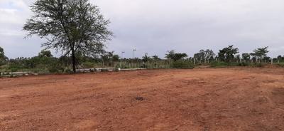 Residential Plot