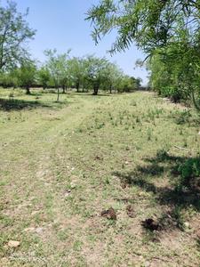 98900 Sq.ft Residential Plot for Sale in Mishriwala, Jammu