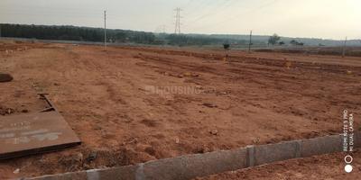Residential Plot