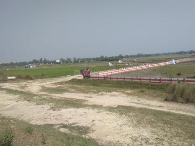 Gallery Cover Image of Sq.ft Residential Plot for buy in Naubasta for 700000