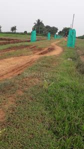 Gallery Cover Image of Sq.ft Residential Plot for buy in Phulnakhara for 1000000