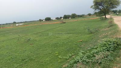 Gallery Cover Image of Sq.ft Residential Plot for buy in Shamshabad for 10800000
