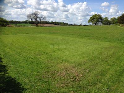 Residential Plot