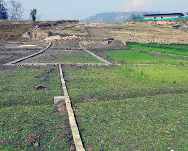 Gallery Cover Image of Sq.ft Residential Plot for buy in Sector 117 for 900000